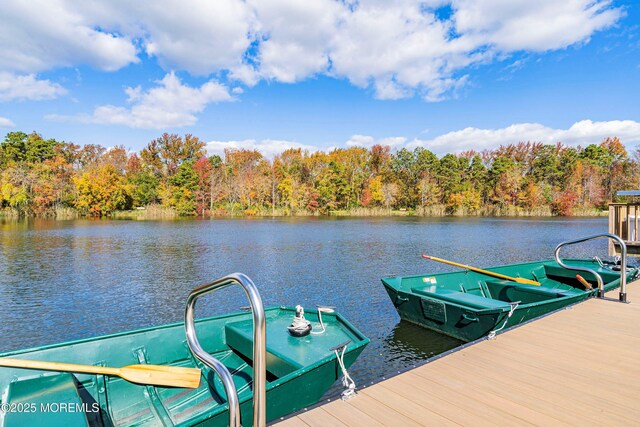 21 Turnbridge, Manchester, NJ 08759 - dock area with a water view and a view of trees