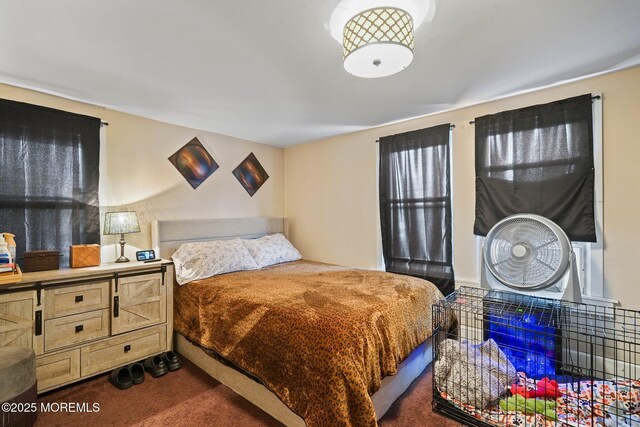 1952 Stratford Ave, Neptune Township, NJ 07753 - bedroom featuring dark colored carpet