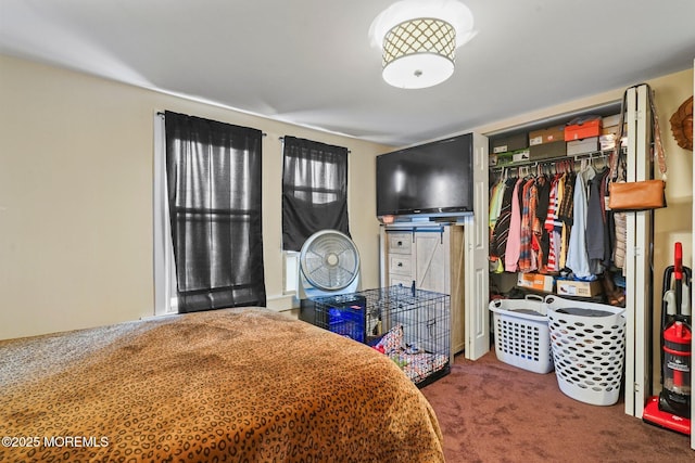 1952 Stratford Ave, Neptune Township, NJ 07753 - bedroom with carpet flooring and a closet