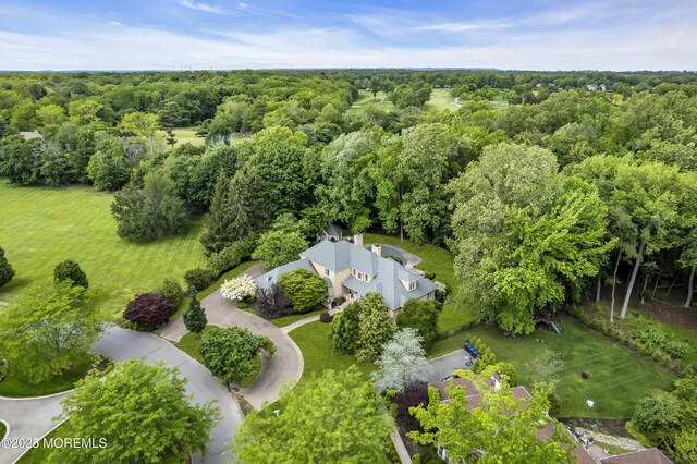 34 Bruns Rd, West Allenhurst, NJ 07711 - bird's eye view of a heavily wooded area