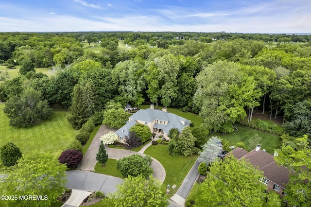 34 Bruns Rd, West Allenhurst, NJ 07711 - bird's eye view of a heavily wooded area