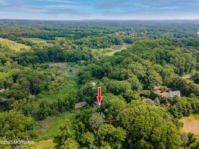 965 W Front St, Red Bank, NJ 07701 - view of property location featuring a forest