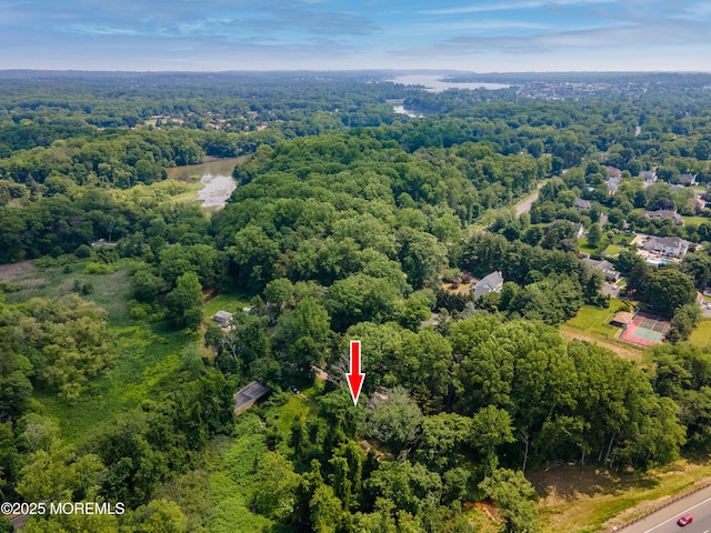 965 W Front St, Red Bank, NJ 07701 - aerial view of a heavily wooded area