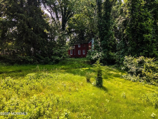 965 W Front St, Red Bank, NJ 07701 - view of yard with a forest view
