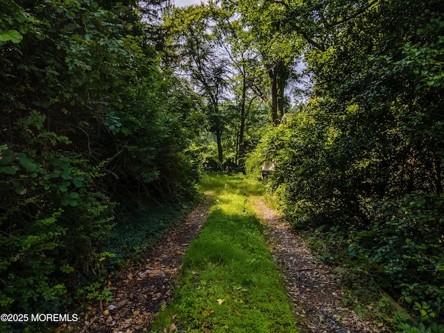 965 W Front St, Red Bank, NJ 07701 - view of wooded area
