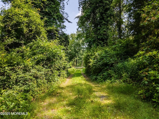 965 W Front St, Red Bank, NJ 07701 - view of nature