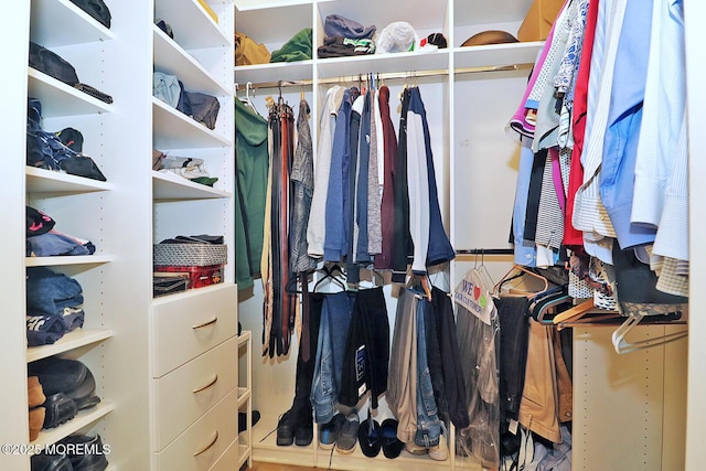 46 Rockland St, Barnegat, NJ 08005 - view of walk in closet