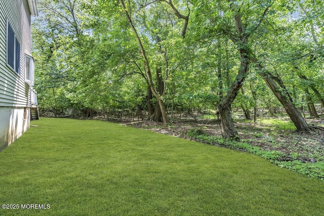 25 Overhill Rd, Ocean Twp, NJ 07712 - view of grassy yard