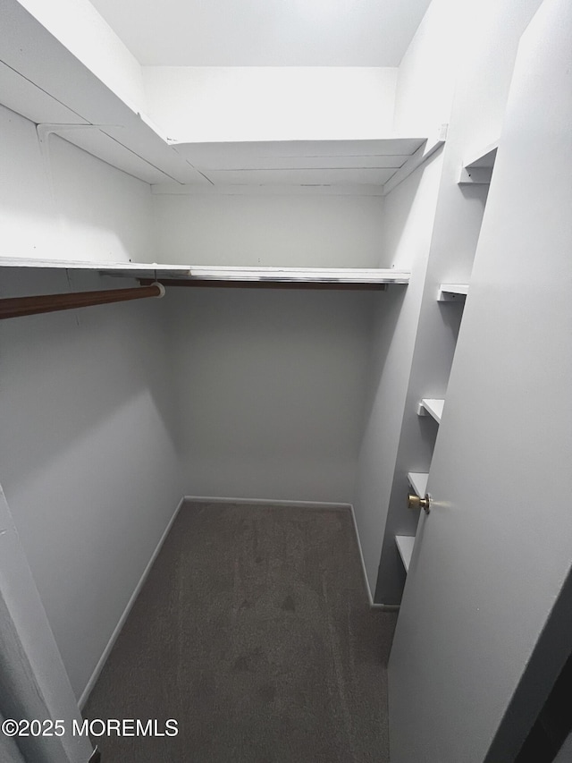 21 Pine Cluster Cir Unit A, Manalapan, NJ 07726 - walk in closet with carpet flooring