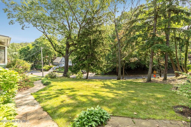 29 Grand Ave, Atlantic Highlands, NJ 07716 - view of green lawn