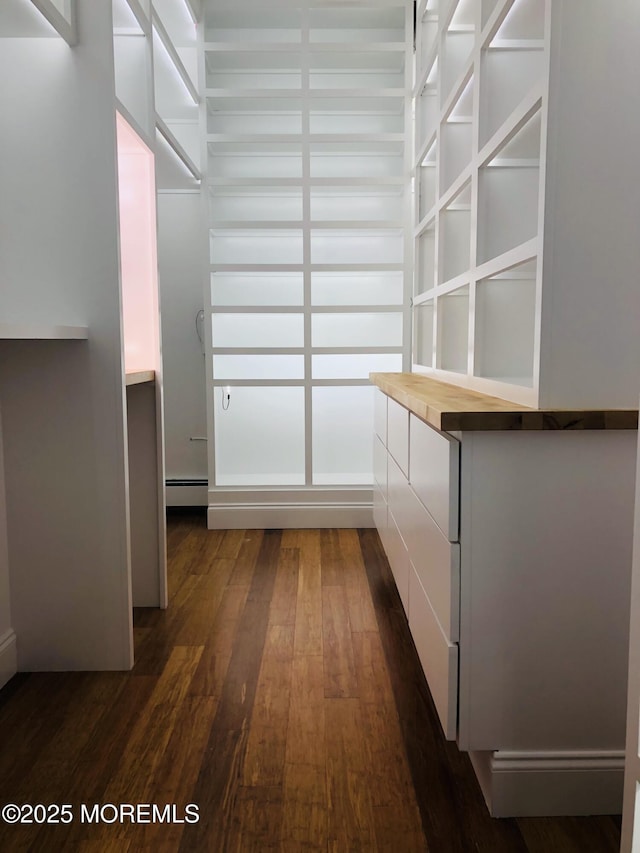 29 Grand Ave, Atlantic Highlands, NJ 07716 - walk in closet with dark wood finished floors and a baseboard radiator