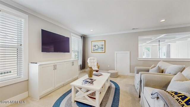 19 Mulberry Rd, Farmingdale, NJ 07727 - photo 15