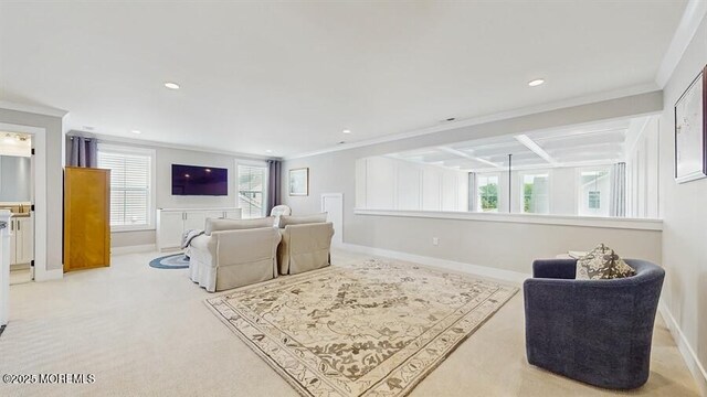19 Mulberry Rd, Farmingdale, NJ 07727 - photo 18