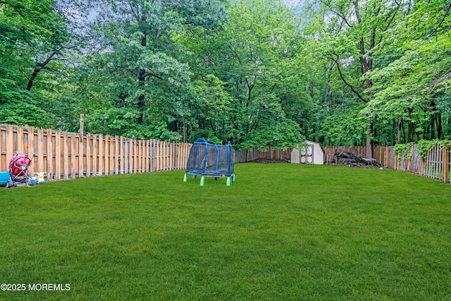 20 Lone Star Ln, Manalapan, NJ 07726 - view of yard featuring a trampoline