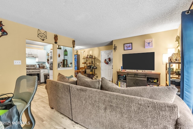 69 Rachel Ct, Franklin Twp, NJ 08823 - living room with light wood finished floors and a textured ceiling