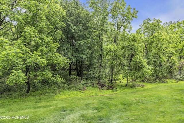 69 Rachel Ct, Franklin Twp, NJ 08823 - view of woods