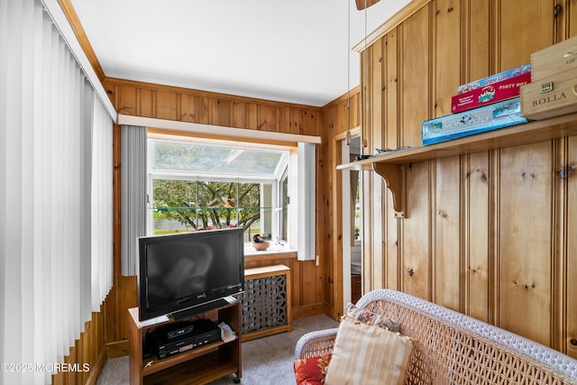 510 Bradley Blvd, Bradley Beach, NJ 07720 - bedroom with wood walls and carpet