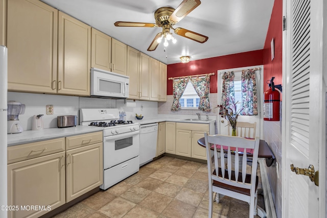 10 Barbuda St, Toms River, NJ 08757 - photo 14