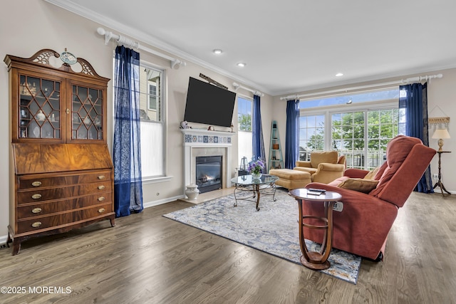 66 Shore Dr Unit 20, South Amboy, NJ 08879 - living area featuring ornamental molding, baseboards, wood finished floors, a fireplace with flush hearth, and recessed lighting