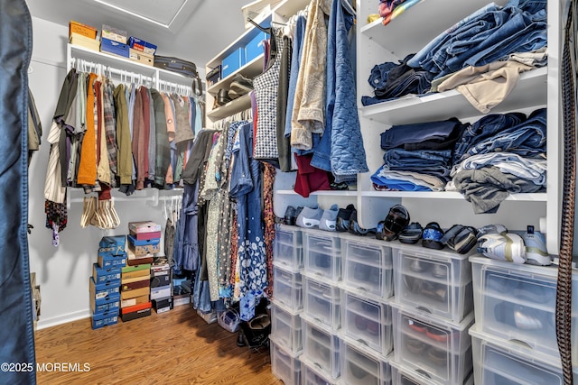 66 Shore Dr Unit 20, South Amboy, NJ 08879 - walk in closet featuring wood finished floors and attic access