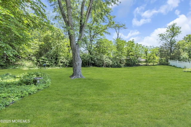 7 Juniper Ln, Jackson, NJ 08527 - view of yard