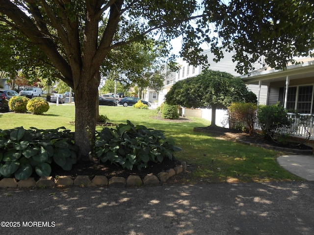 483 Coral Ln, Manahawkin, NJ 08050 - view of grassy yard
