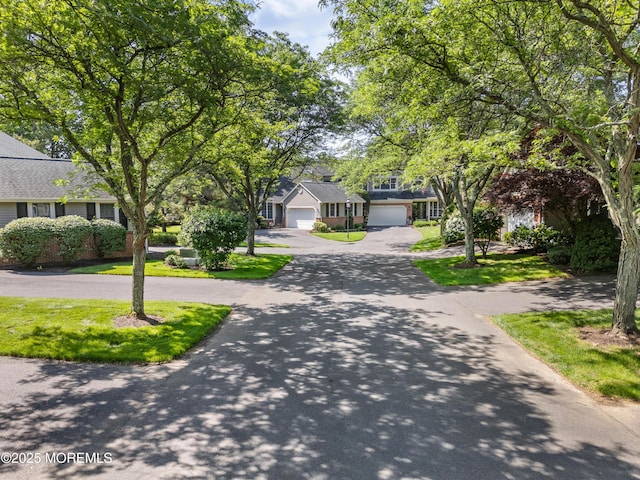 34 Peach Tree Ln, Little Silver, NJ 07739 - obstructed view of property with driveway and a residential view