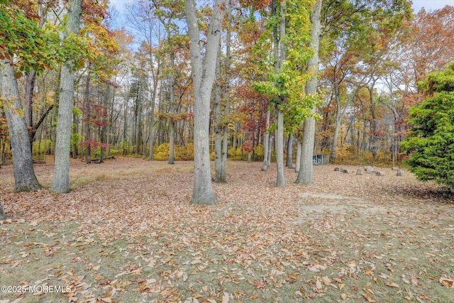 9 Rutherford Ct, Jackson, NJ 08527 - view of yard with a view of trees