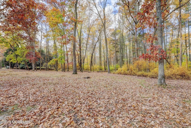 9 Rutherford Ct, Jackson, NJ 08527 - view of yard featuring a forest view