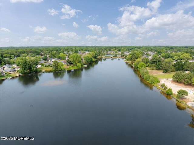 1936 Yorktowne Blvd, Toms River, NJ 08753 - bird's eye view of a large body of water and a heavily wooded area