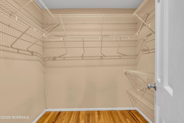 6 Kenneth Dr, Ocean Twp, NJ 07712 - walk in closet featuring wood finished floors