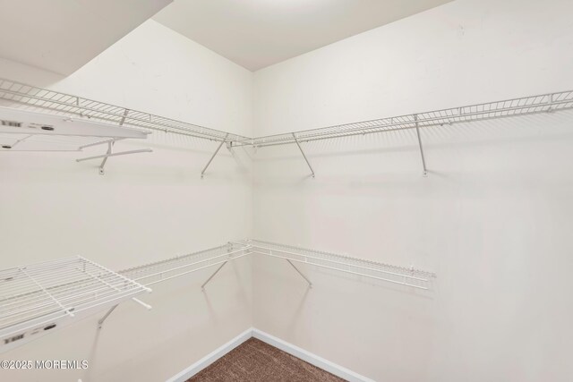 17 Rockingham Way, Manchester, NJ 08759 - photo 22
