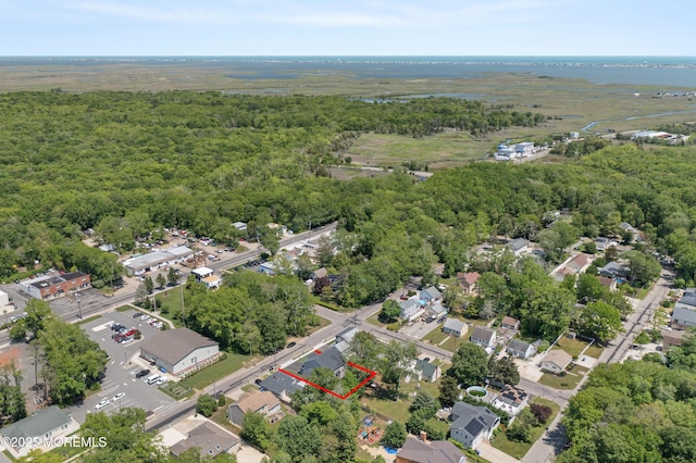 783 Delaware Ave, Manahawkin, NJ 08050 - aerial view of property and surrounding area with property boundaries highlighted and a forest
