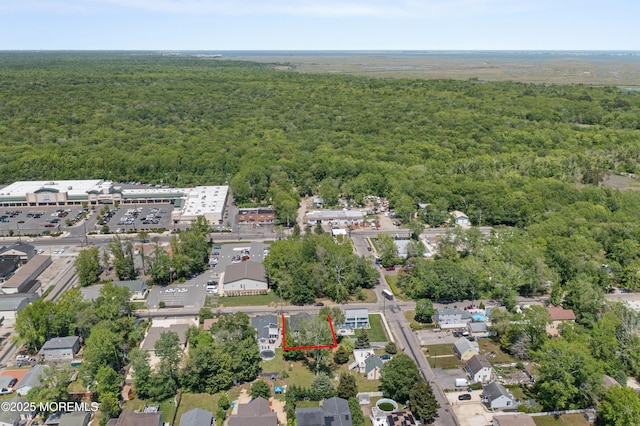 783 Delaware Ave, Manahawkin, NJ 08050 - aerial overview of property's location featuring a heavily wooded area and property boundaries highlighted