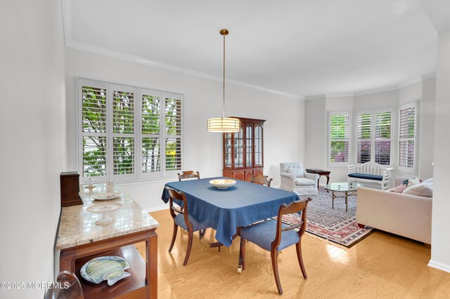 2619 Lantern Light Way, Manasquan, NJ 08736 - photo 4