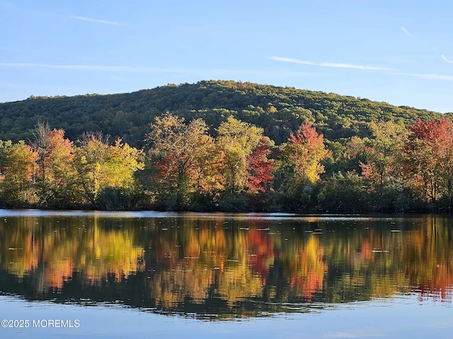 7 Cranberry Ct, Haledon, NJ 07508 - water view with a forest