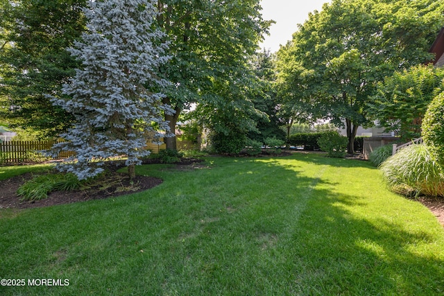 324 Magnolia Ave, Brielle, NJ 08730 - view of yard