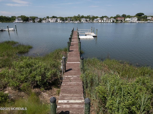 324 Magnolia Ave, Brielle, NJ 08730 - dock with a water view