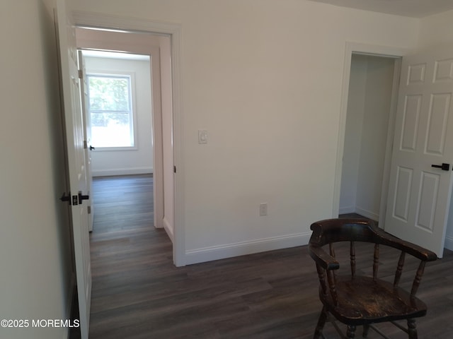 414 Oak Tree Rd, Freehold, NJ 07728 - hallway featuring dark wood-type flooring