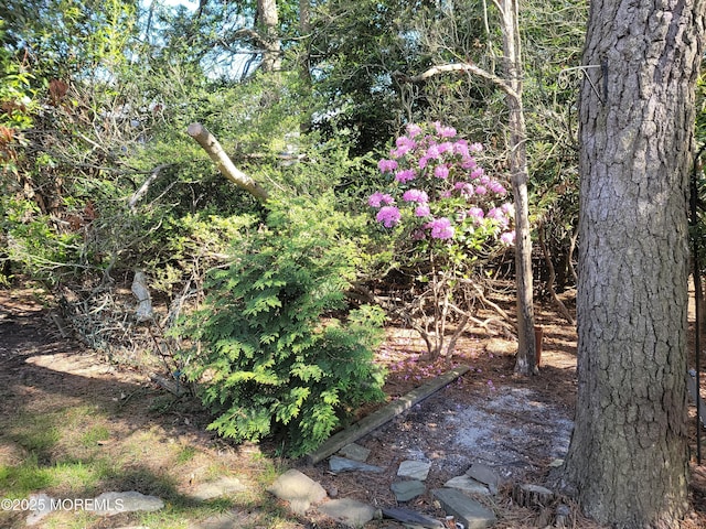 799 Hudson Pkwy, Whiting, NJ 08759 - view of undeveloped land