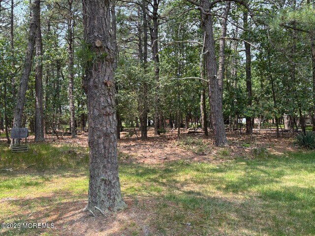 194 Constitution Blvd, Whiting, NJ 08759 - view of yard