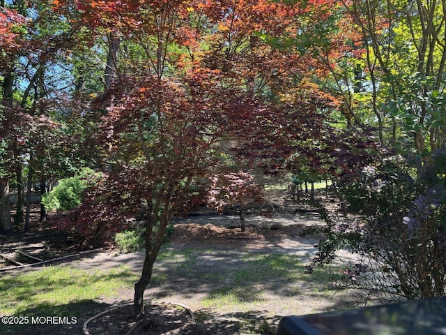 75 Hudson Pkwy Unit C, Whiting, NJ 08759 - view of yard