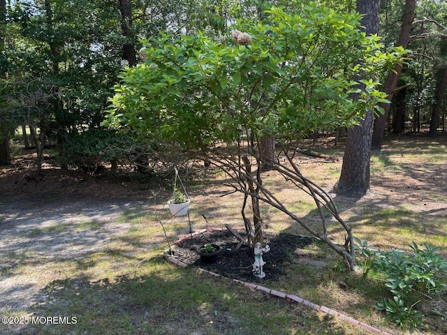 75 Hudson Pkwy Unit C, Whiting, NJ 08759 - view of yard