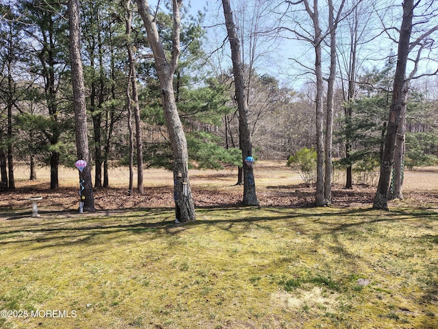 18 Mount Ranier Dr, Howell, NJ 07731 - view of green lawn