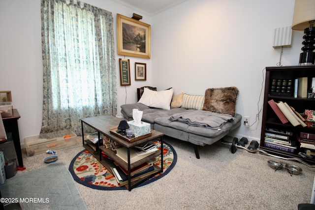 610 Jerome Pl, Freehold, NJ 07728 - living area featuring carpet floors and ornamental molding