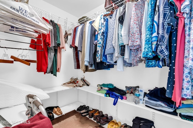 123 Skyline Dr, Lakewood, NJ 08701 - walk in closet with carpet flooring