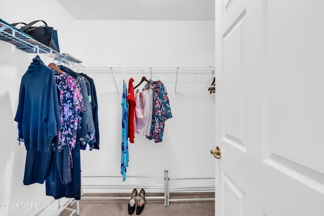 123 Skyline Dr, Lakewood, NJ 08701 - walk in closet featuring carpet