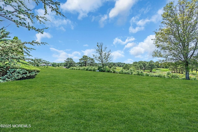 123 Skyline Dr, Lakewood, NJ 08701 - view of green lawn