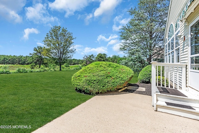 123 Skyline Dr, Lakewood, NJ 08701 - view of green lawn featuring a patio area