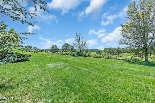 123 Skyline Dr, Lakewood, NJ 08701 - view of yard